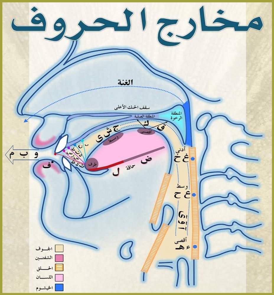 Phonétique de l’Arabe littéral et dialectal